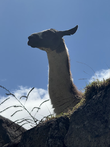 Photo from customer review