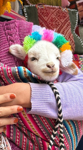 Photo from customer review