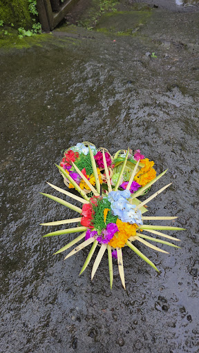 Photo from customer review