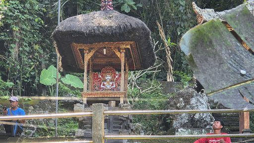 Photo from customer review