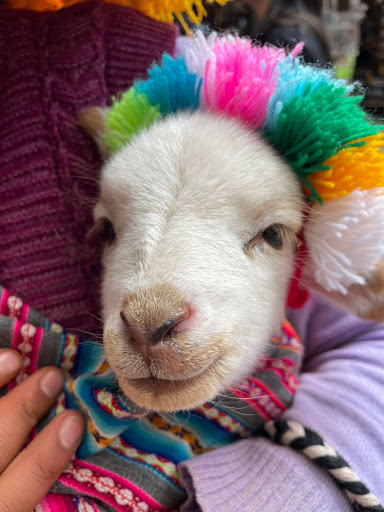 Photo from customer review