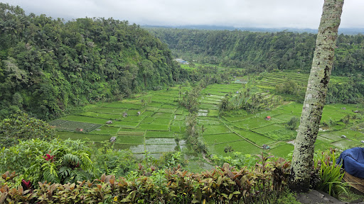 Photo from customer review