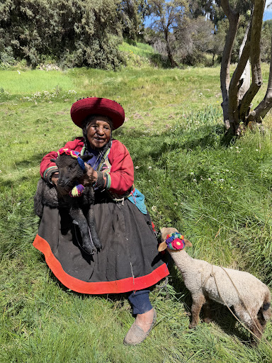 Photo from customer review