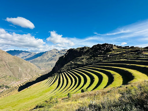 Photo from customer review