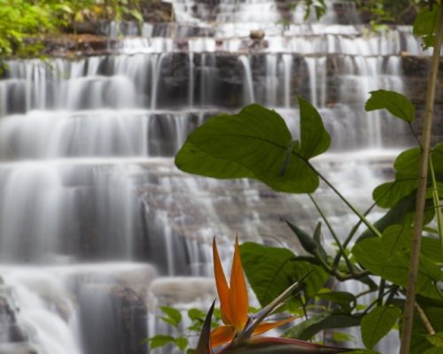 Waterfall Villas waterfall